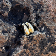 Gold- Çizgili  Bubble Küpe