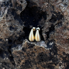 Gold- Çizgili  Bubble Küpe
